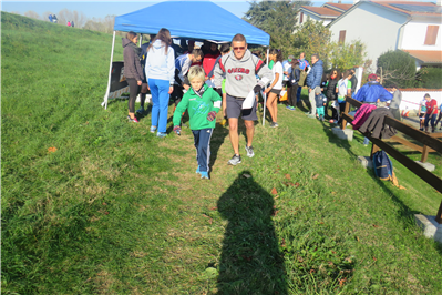 Grand Prix di ORIENTEERING